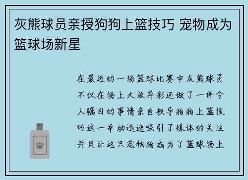 灰熊球员亲授狗狗上篮技巧 宠物成为篮球场新星